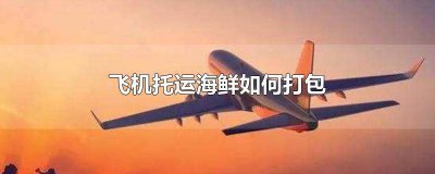 ​坐飞机海鲜托运 海鲜可以托运么飞机