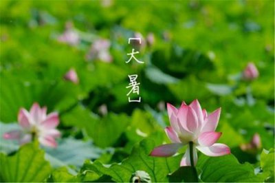 ​描写大暑的古诗有哪些?