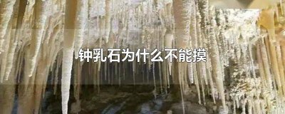 ​钟乳石能干嘛 钟乳石为什么叫钟乳石