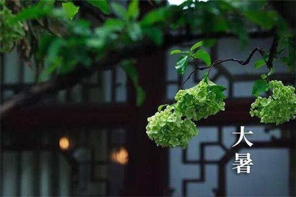 大暑吃什么食物养生 大暑吃羊肉有什么好处