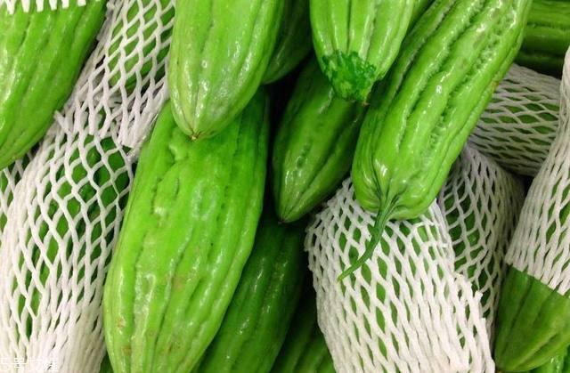 苦瓜品种大全图片资料