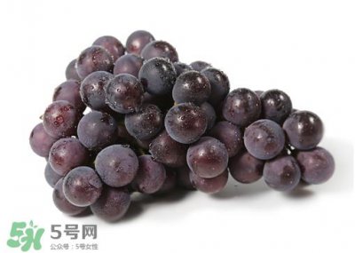​巨峰和夏黑哪个好吃？哪个贵？有什么区别？