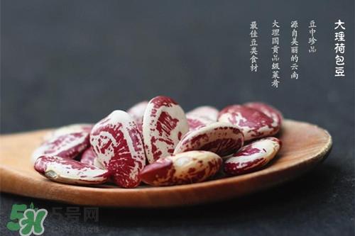 肾豆是什么豆?肾豆的功效与作用
