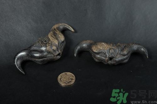 菱角可以放多久?菱角可以放冰箱保存吗 菱角可以放多久?菱角可以放冰箱保存吗
