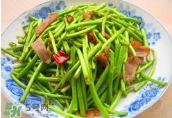 藜蒿叶子能吃吗?藜蒿叶子可以吃吗 藜蒿叶子能吃吗?藜蒿叶子可以吃吗