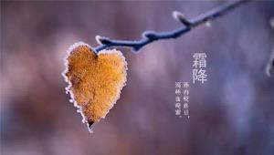 生活霜降节气吃什么水果最好  2