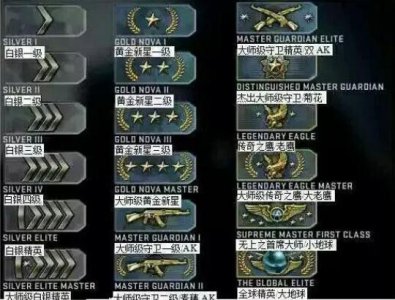 ​csgo段位图一览 段位从高到低排序图一览