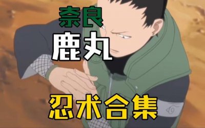 ​求类似火影之奈良鹿丸小说