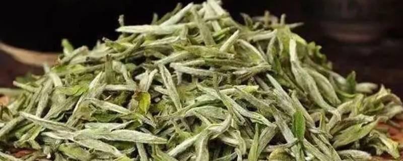 生活奇丹是什么茶  1