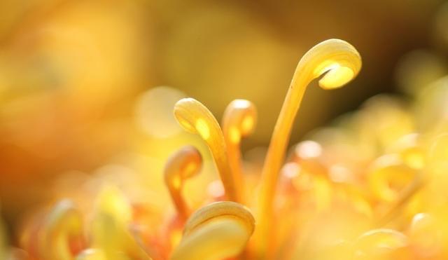 生活清明节10首最感人的《悼亡诗》，缅怀亲人，每一首都是千古名篇！  4