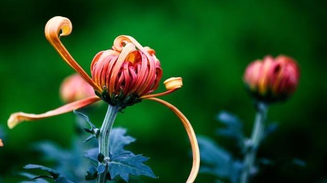 生活清明节10首最感人的《悼亡诗》，缅怀亲人，每一首都是千古名篇！  2