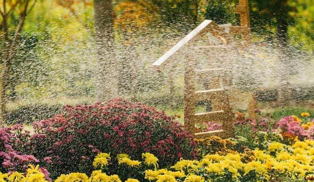 生活清明节10首最感人的《悼亡诗》，缅怀亲人，每一首都是千古名篇！  5