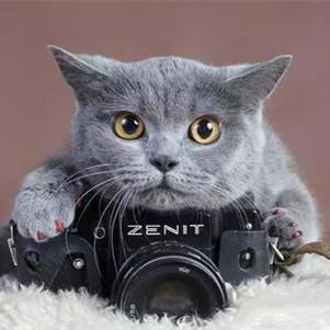 女人微信头像心理学6