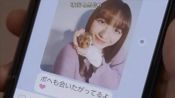 那些探探上的女孩丨百分百约会指南