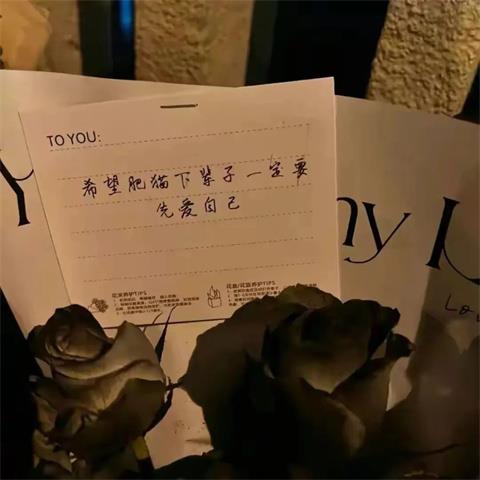 胖猫:游戏中的通天代,爱情里的苦命人