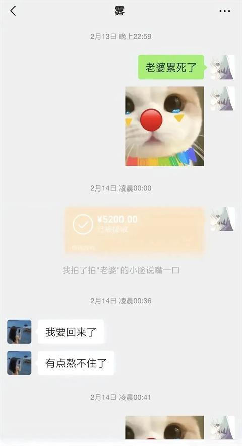 胖猫:游戏中的通天代,爱情里的苦命人