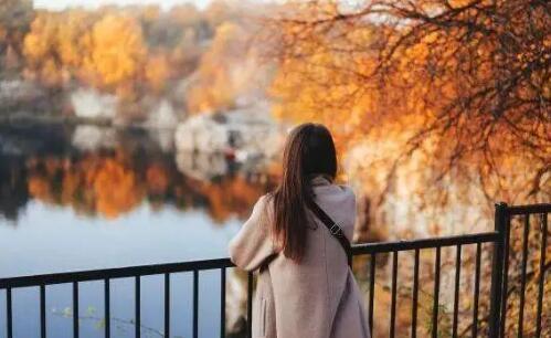 情商是什么意思解释一下,智商是什么意思解释一下