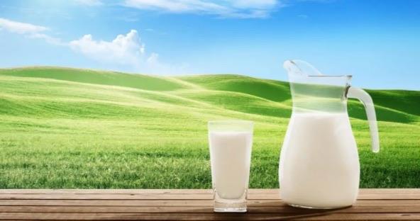 生活虾相克的食物有哪些(不能和虾一起吃的食物)  2