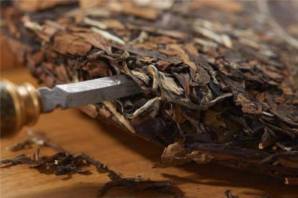 生活老白茶什么牌子好 老白茶品牌推荐  1