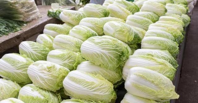 生活大白菜起源是哪里？大白菜产地分布有哪些  2
