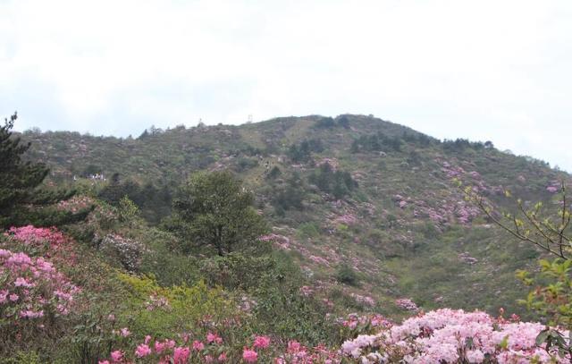 生活有一种人，到了清明节，不回老家扫墓，跟兄弟姐妹也很淡漠  2