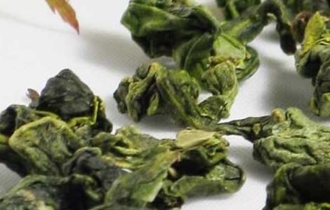 生活铁观音属于什么茶？  2