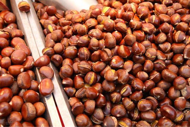 生活栗子怎么做好吃（教你5种板栗软糯好吃的做法）  1
