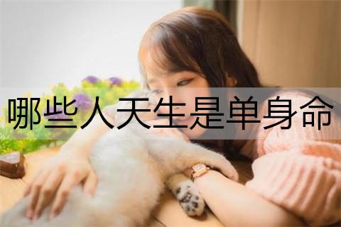 哪些人天生是单身命2