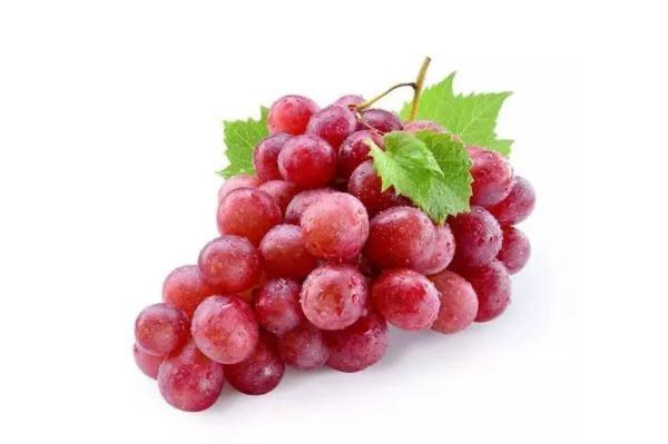 生活红提子上火吗 红提上火还是去火  2