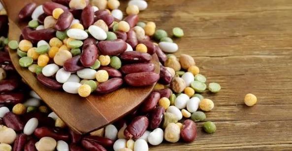 生活减肥食物排行榜前十名(柑橘类水果可以帮助消化)  3