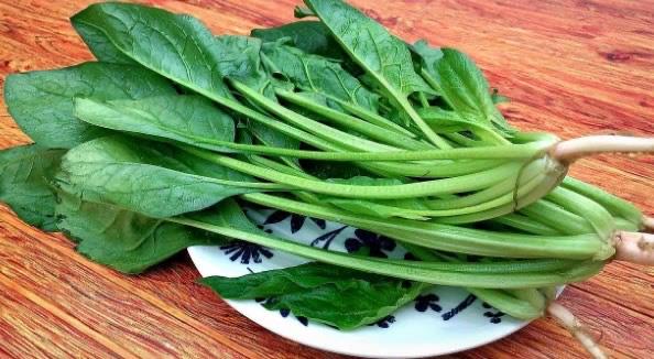 生活吃什么长头发快最有效(对头发生长有益的食物)  2