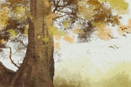 怎么追内向不爱说话的女生