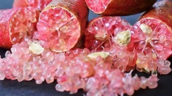 生活世界十大高档水果排名(第九种大部分人没见过)  2