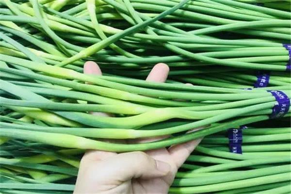 生活蒜苔的功效与作用：具有医用价值(美味可口）  2