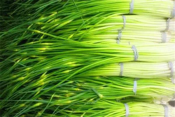 生活蒜苔的功效与作用：具有医用价值(美味可口）  3