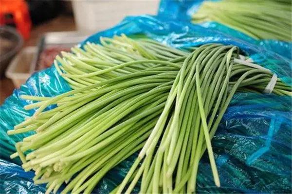 生活蒜苔的功效与作用：具有医用价值(美味可口）  4