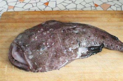 ​安康鱼是什么鱼 安康鱼的功效与作用