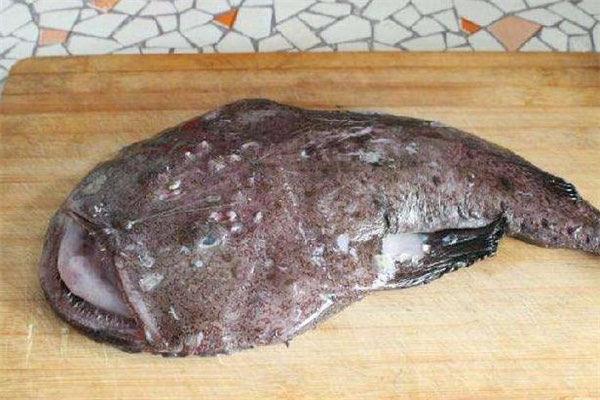 生活安康鱼是什么鱼 安康鱼的功效与作用  1