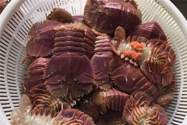 生活琵琶虾的做法 琵琶虾怎么做好吃  2