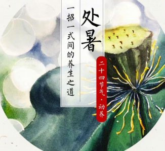 ​处暑应该吃什么养生 处暑为什么要吃鸭子