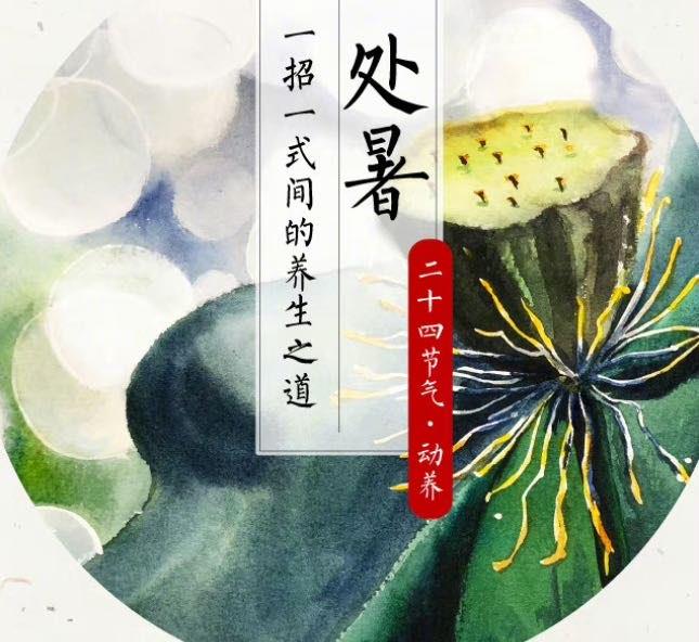 生活处暑应该吃什么养生 处暑为什么要吃鸭子  1