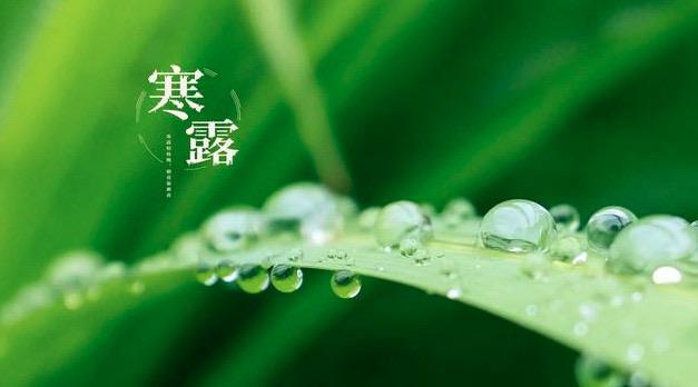 生活寒露节气养生吃什么菜肴  1