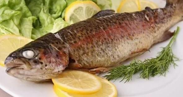 生活哪些食物蛋白质含量高(高蛋白食物排行一览)  3