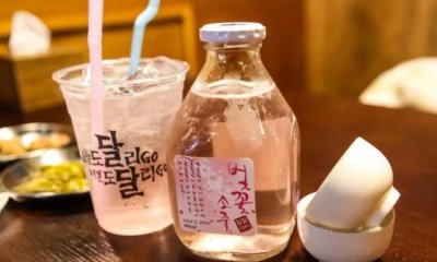 ​韩国烧酒哪个牌子好喝 韩剧里的烧酒哪个牌子