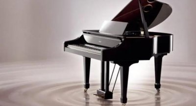 ​十大培养气质乐器排名（提升气质的乐器有哪些）