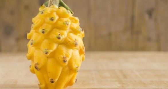 生活未来十大暴利种植项目(阳光玫瑰葡萄上榜了)  4