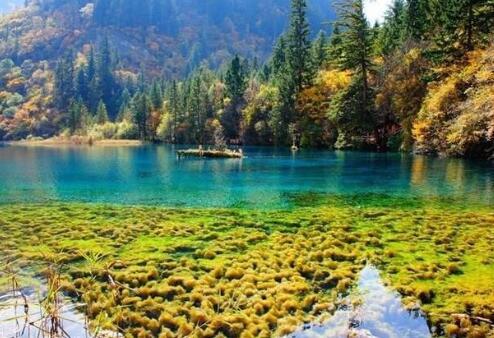 情感障碍前驱症状