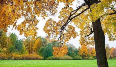 ​波涛汹涌沙滩漫下联是