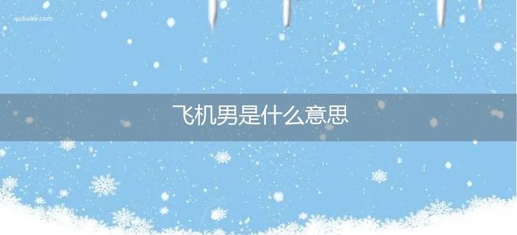 生活飞机男是什么意思  1