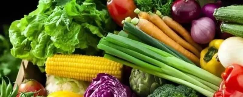生活蔬菜都有什么  1